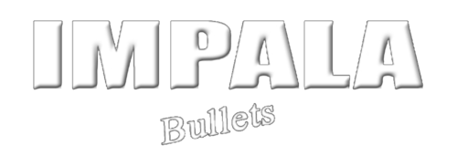 Website Logo